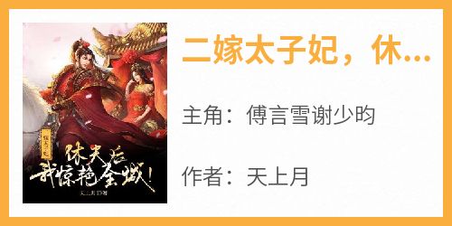 二嫁太子妃，休夫后我惊艳全城！