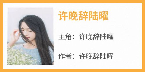 许晚辞陆曜