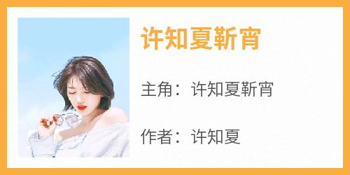 许知夏靳宵