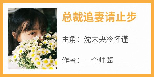 总裁追妻请止步