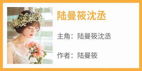 陆曼筱沈丞