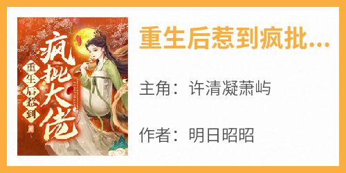 重生后惹到疯批大佬