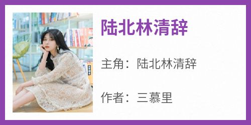 陆北林清辞