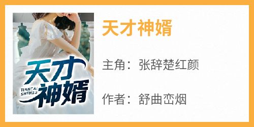 天才神婿