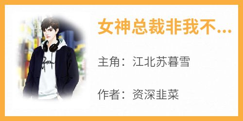 女神总裁非我不嫁