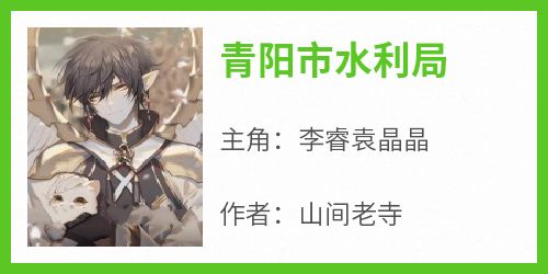 青阳市水利局