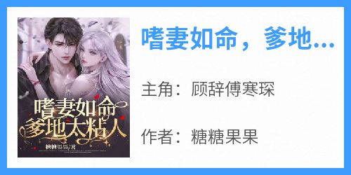 嗜妻如命，爹地太粘人