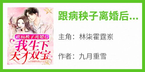 跟病秧子离婚后，我生下天才双宝