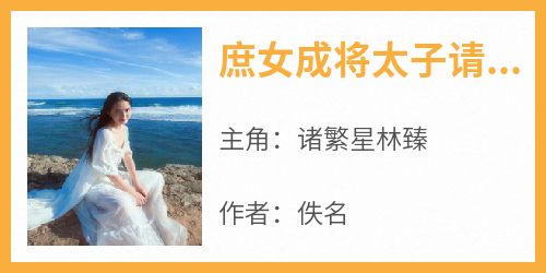 庶女成将太子请自重
