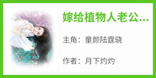 嫁给植物人老公后他醒了