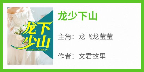 龙少下山