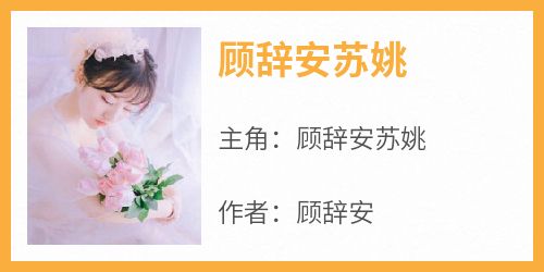 顾辞安苏姚