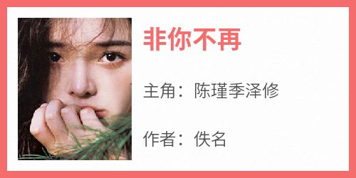 非你不再