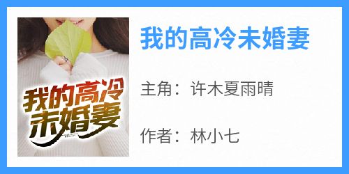 我的高冷未婚妻