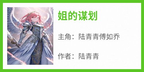 姐的谋划