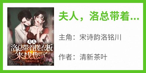 夫人，洛总带着搓衣板来找您了
