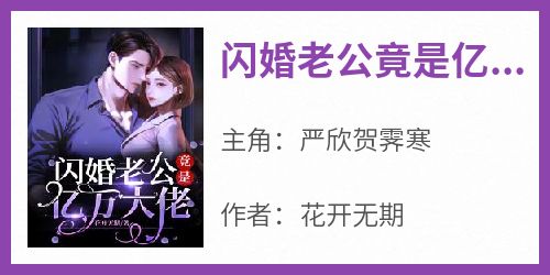 闪婚老公竟是亿万大佬