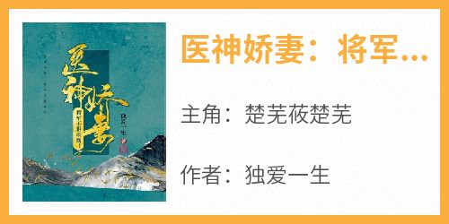 医神娇妻：将军不服来战！