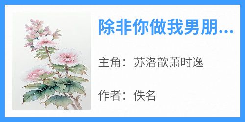 除非你做我男朋友
