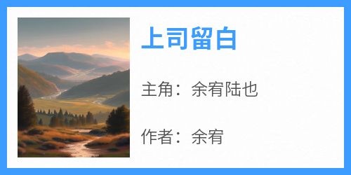 上司留白