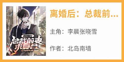 离婚后：总裁前妻求复合