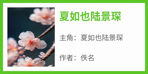 夏如也陆景琛