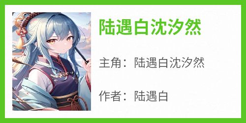 陆遇白沈汐然