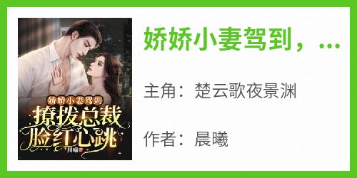 娇娇小妻驾到，撩拨总裁脸红心跳