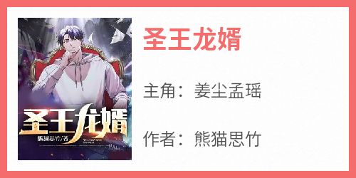 圣王龙婿