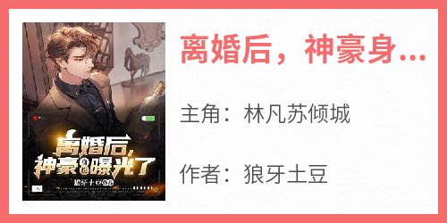 离婚后，神豪身份曝光了