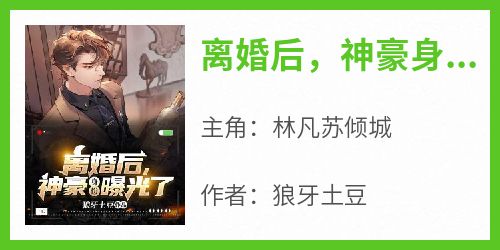 离婚后，神豪身份曝光了
