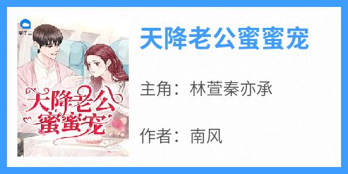 天降老公蜜蜜宠