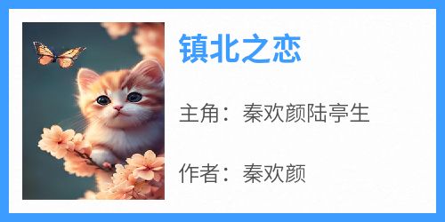 镇北之恋