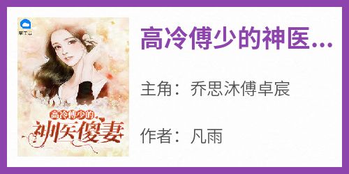 高冷傅少的神医傻妻