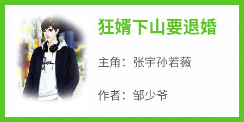 狂婿下山要退婚