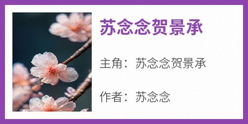 苏念念贺景承