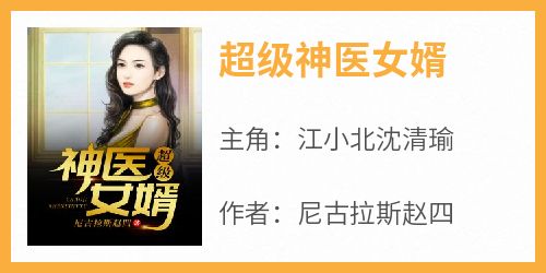 超级神医女婿