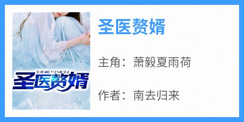圣医赘婿