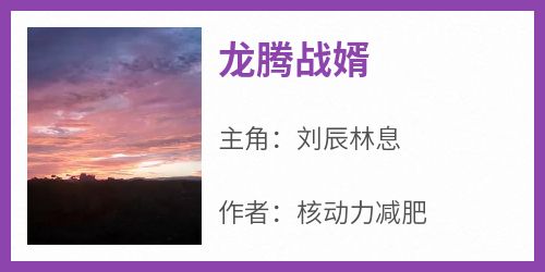 龙腾战婿