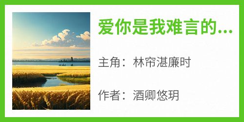 爱你是我难言的痛