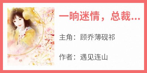 一晌迷情，总裁又来求复婚