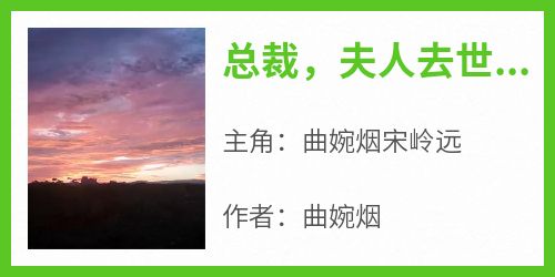 总裁，夫人去世了