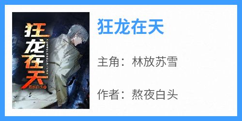狂龙在天