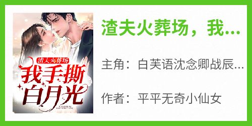 渣夫火葬场，我手撕白月光