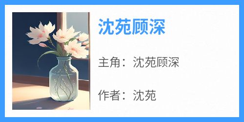 沈苑顾深