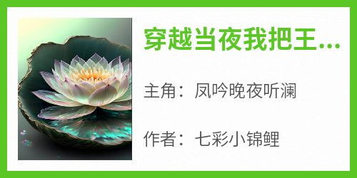 穿越当夜我把王爷踹下榻
