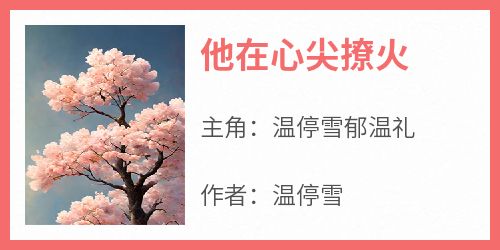 他在心尖撩火