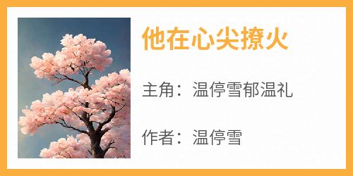 他在心尖撩火