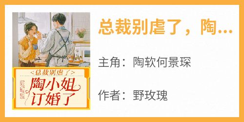总裁别虐了，陶小姐订婚了
