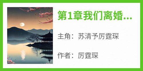 第1章我们离婚苏清予